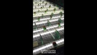 Çeşitli Cam Lamine Mesh Stilleri Mevcuttur